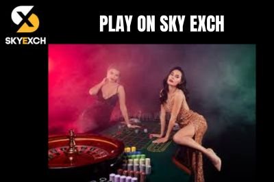 What is Sky Exchange