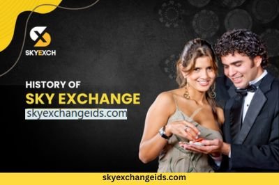 History of Sky Exchange